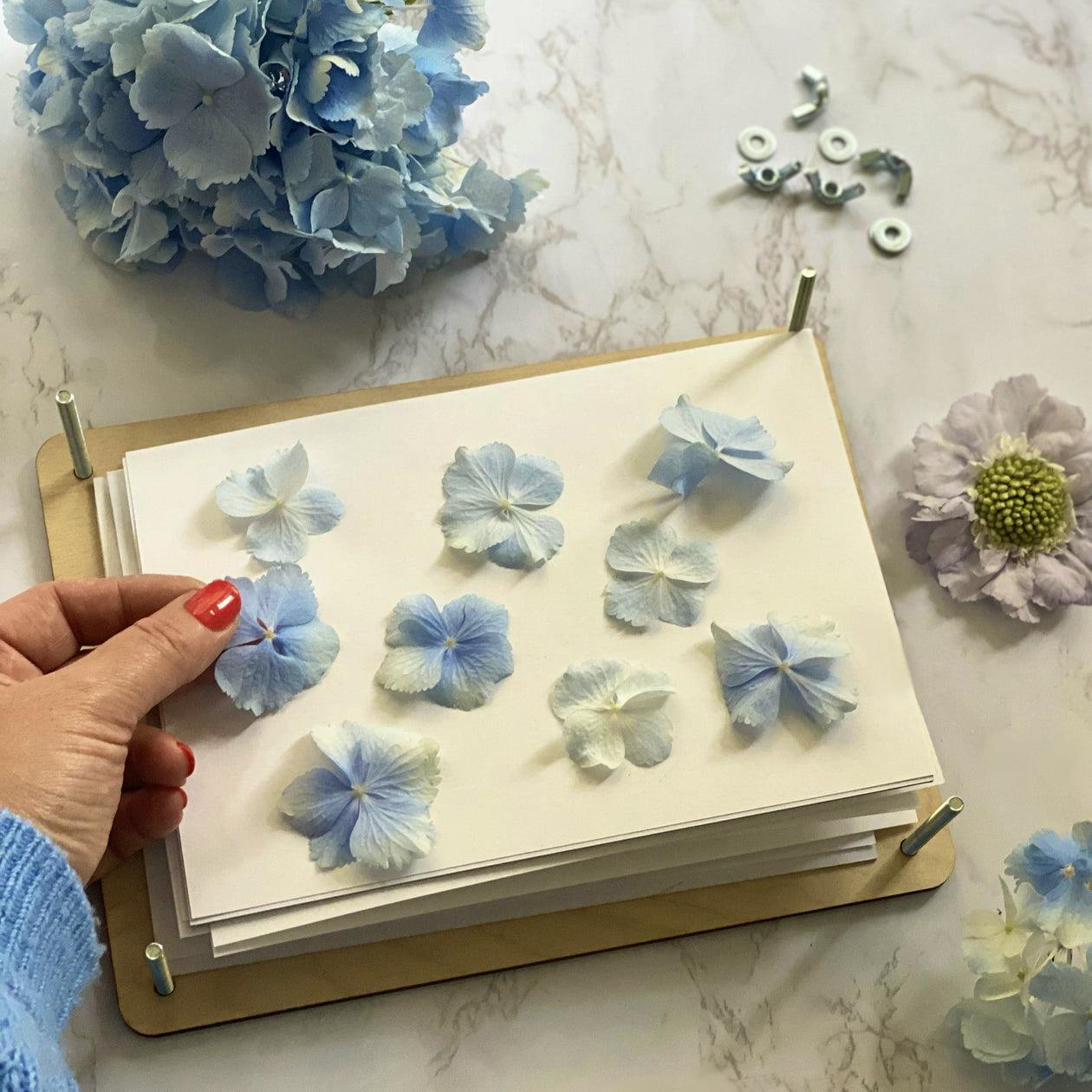 Makebox & Co Flower Press, £22