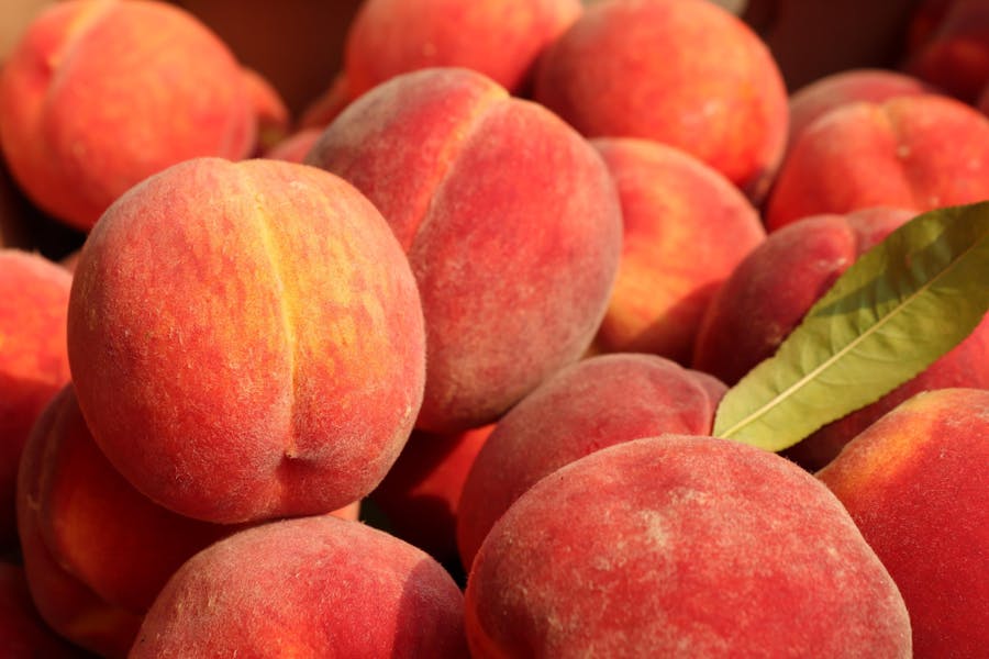 Perfect Peach: 27 Pantone Colour Of The Year-Inspired Buys