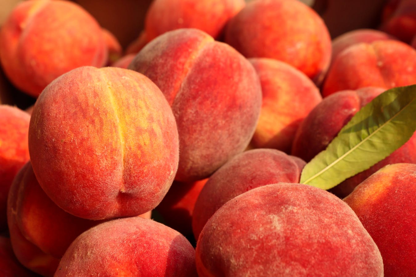 Perfect Peach: 27 Pantone Colour Of The Year-Inspired Buys