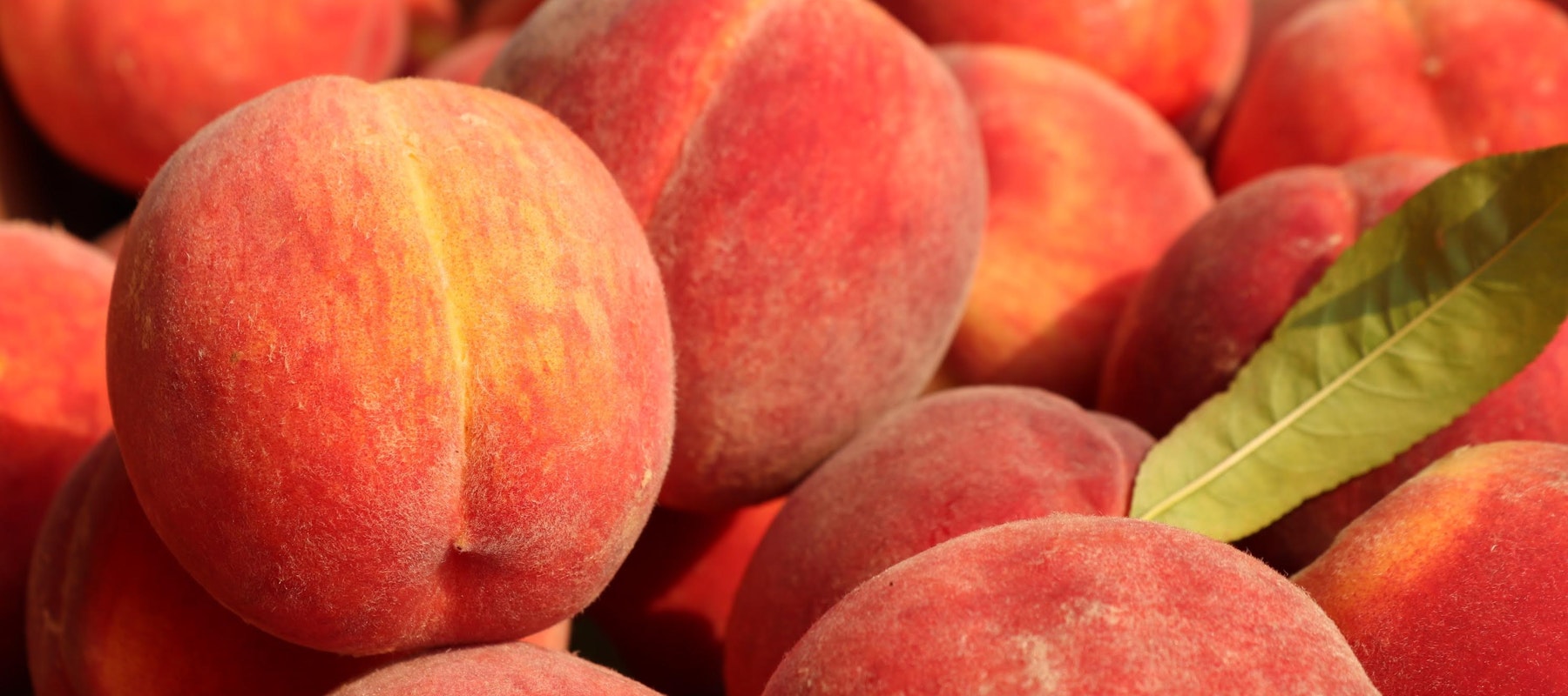 Perfect Peach: 27 Pantone Colour Of The Year-Inspired Buys