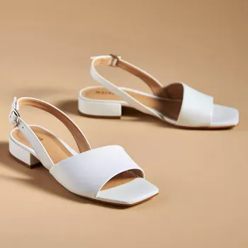 Anthropologie