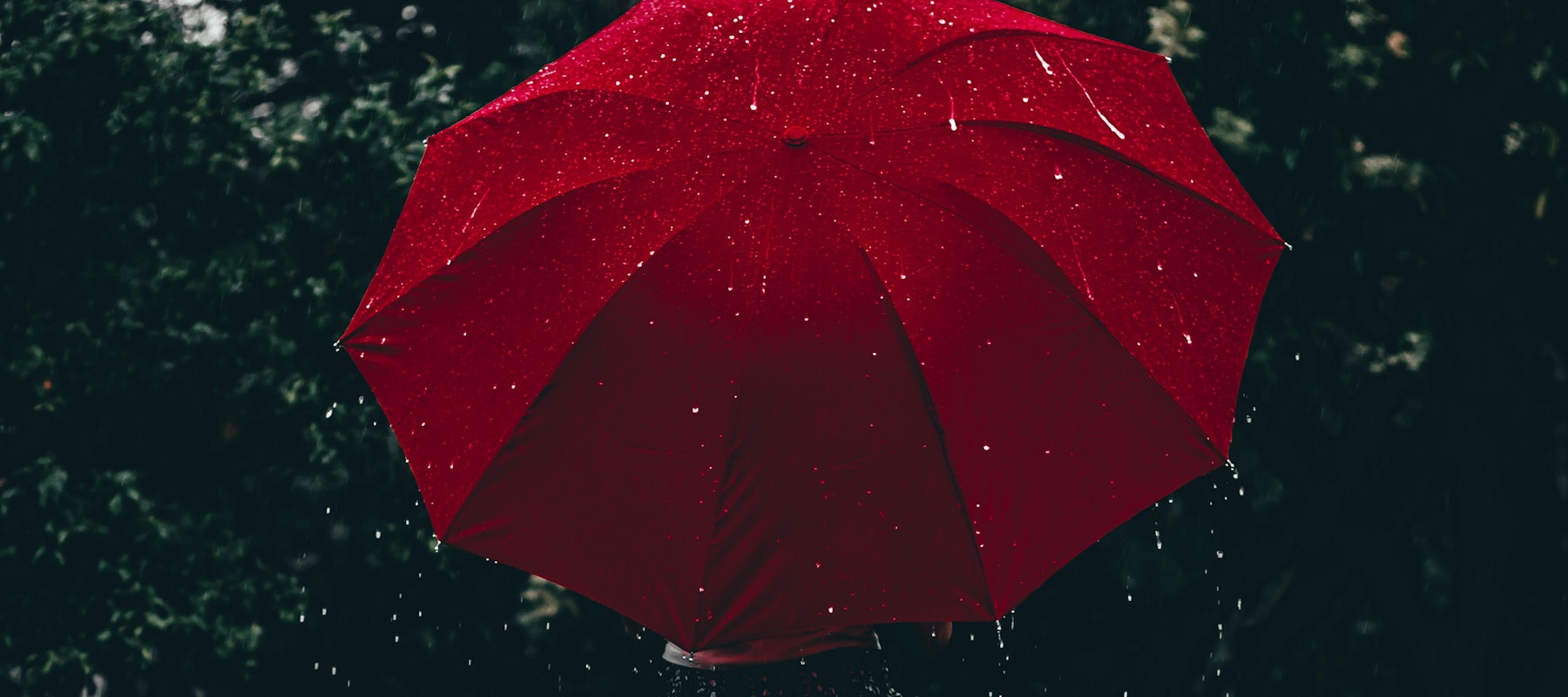 21 Super Stylish Umbrellas