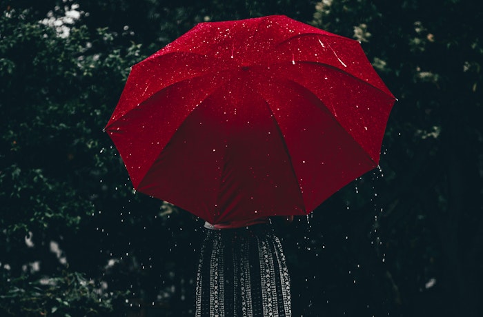 21 Super Stylish Umbrellas