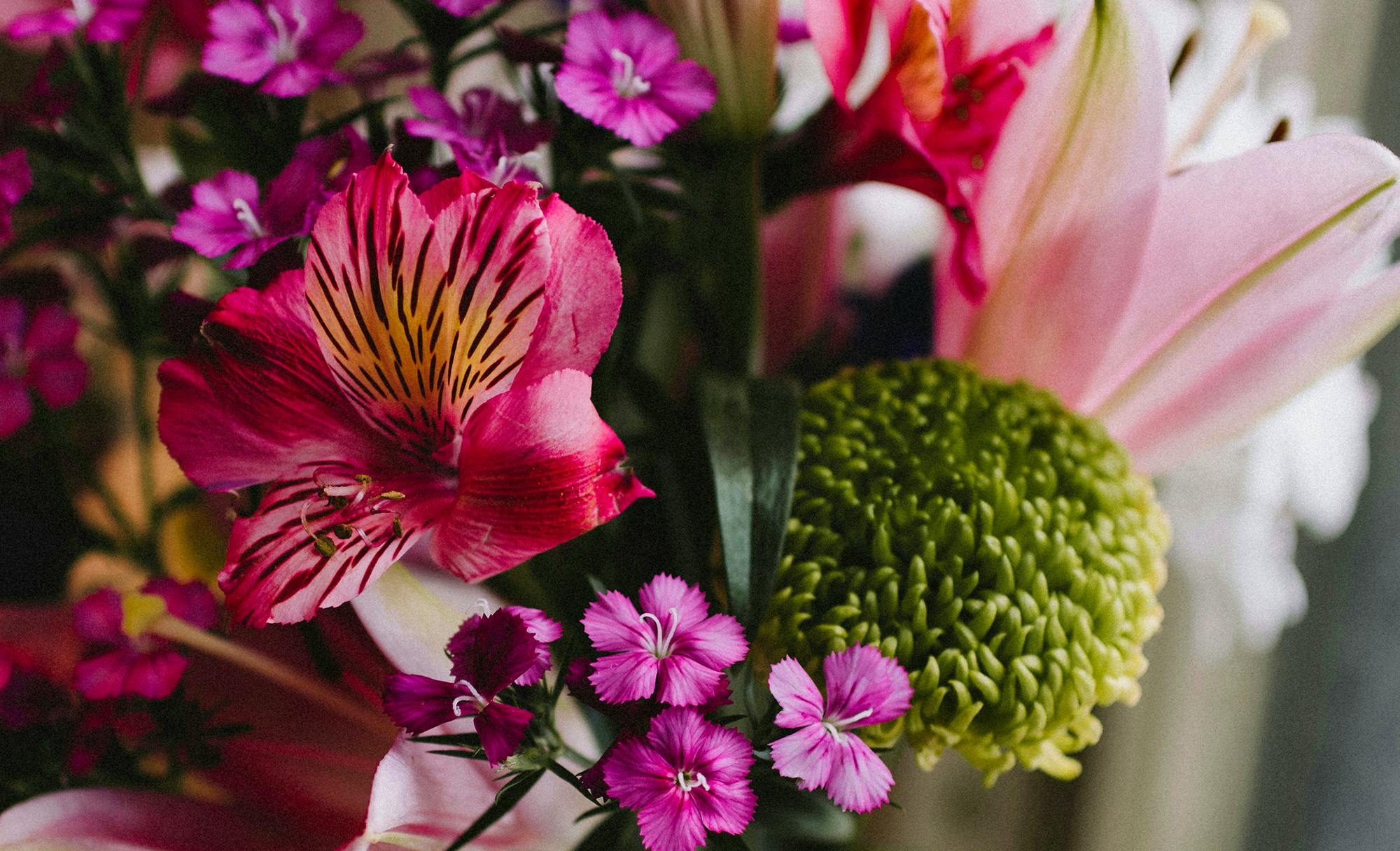 Best sites for ordering flowers online The Good  Guide