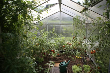 Spring Bulb Haul: 5 Gardening Influencers To Follow On Instagram