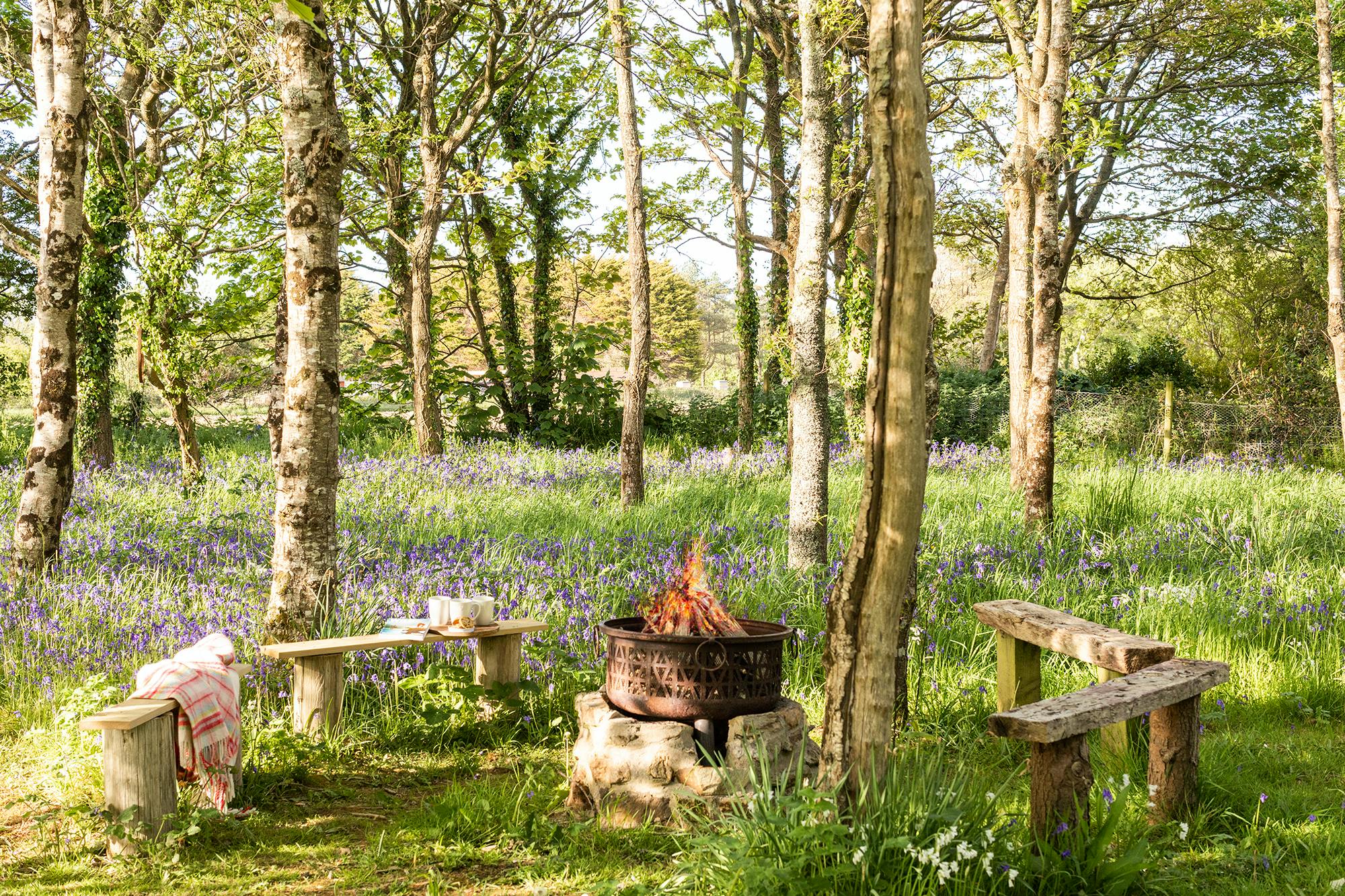 Aspects Hols Gardens Treveth