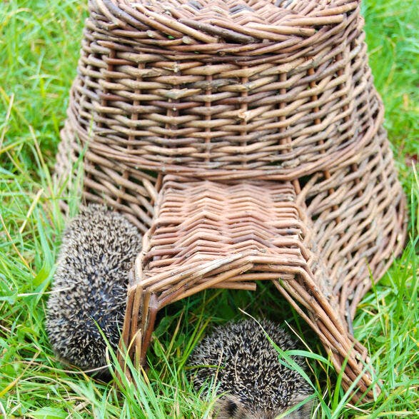 A Place for Everything Hedgehog House, £30