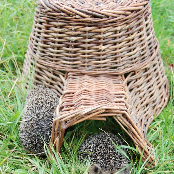 A Place for Everything Hedgehog House, £30