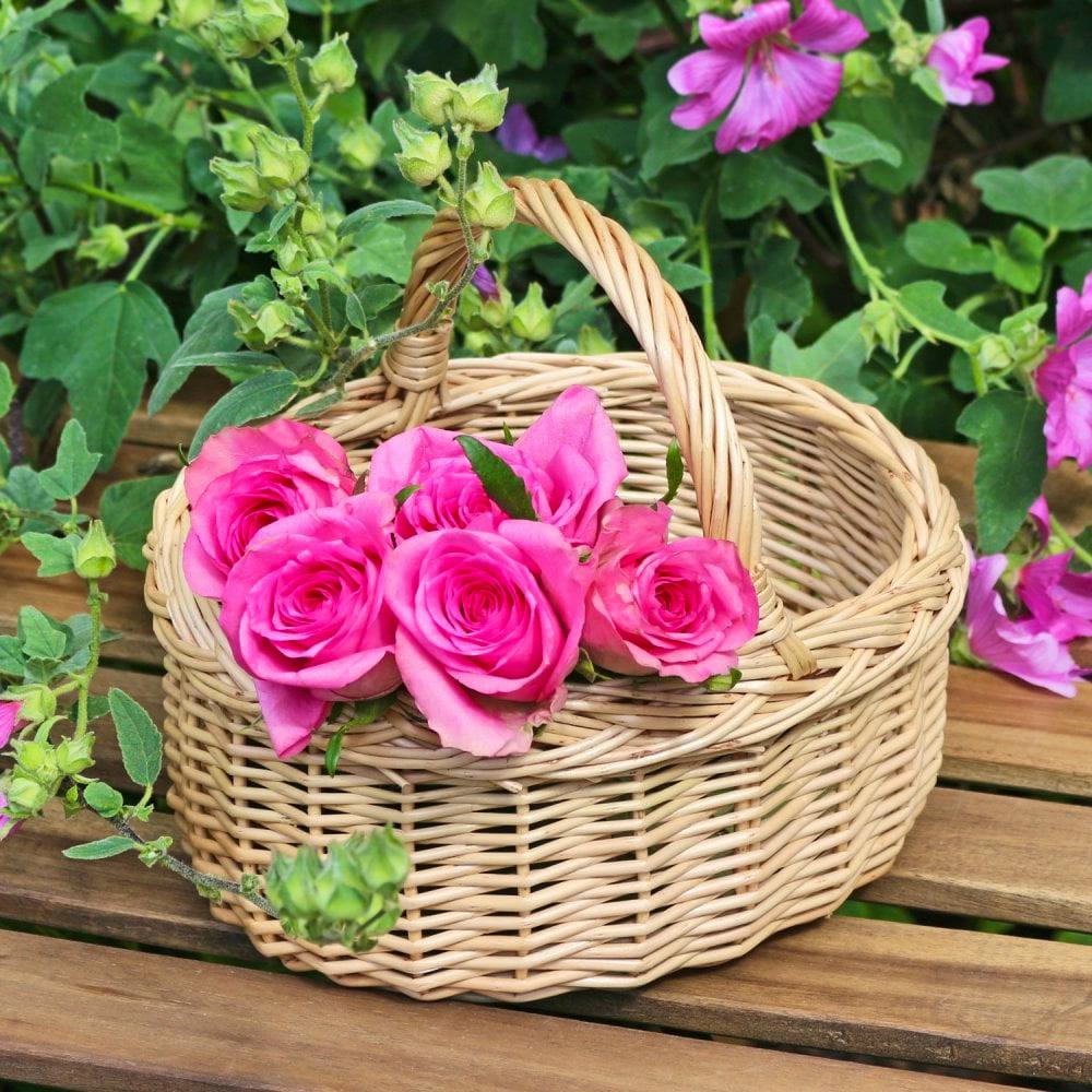 The Basket Company Small Child's Size Wicker Shopping Basket, £11