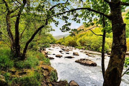 The Best Family Cottages For Spring With Classic Cottages