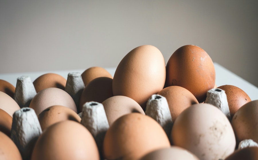 Cracking Ways To Store Your Eggs