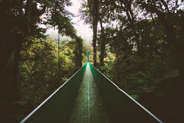 Adventure Travel Costa Rica Rain Forest Ben-ostrower-tFyNUORYa1U-unsplash