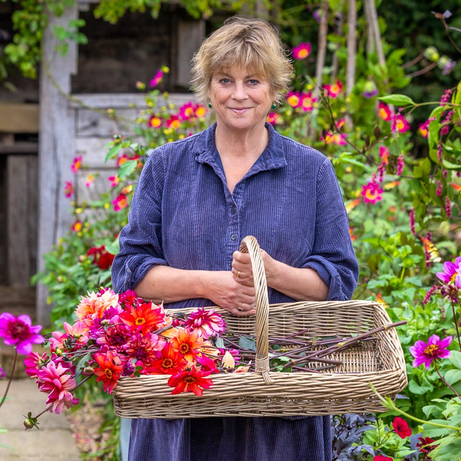Willow Flower Picking Trug, from £39.95 