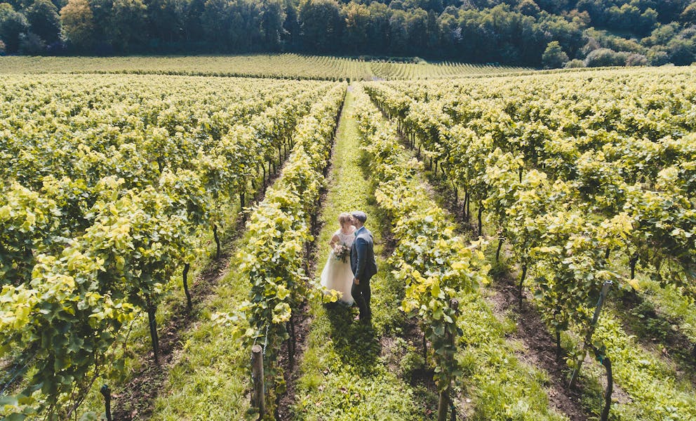 Green Wedding Marc-a-sporys-xTUzI5_osp0-unsplash Copy
