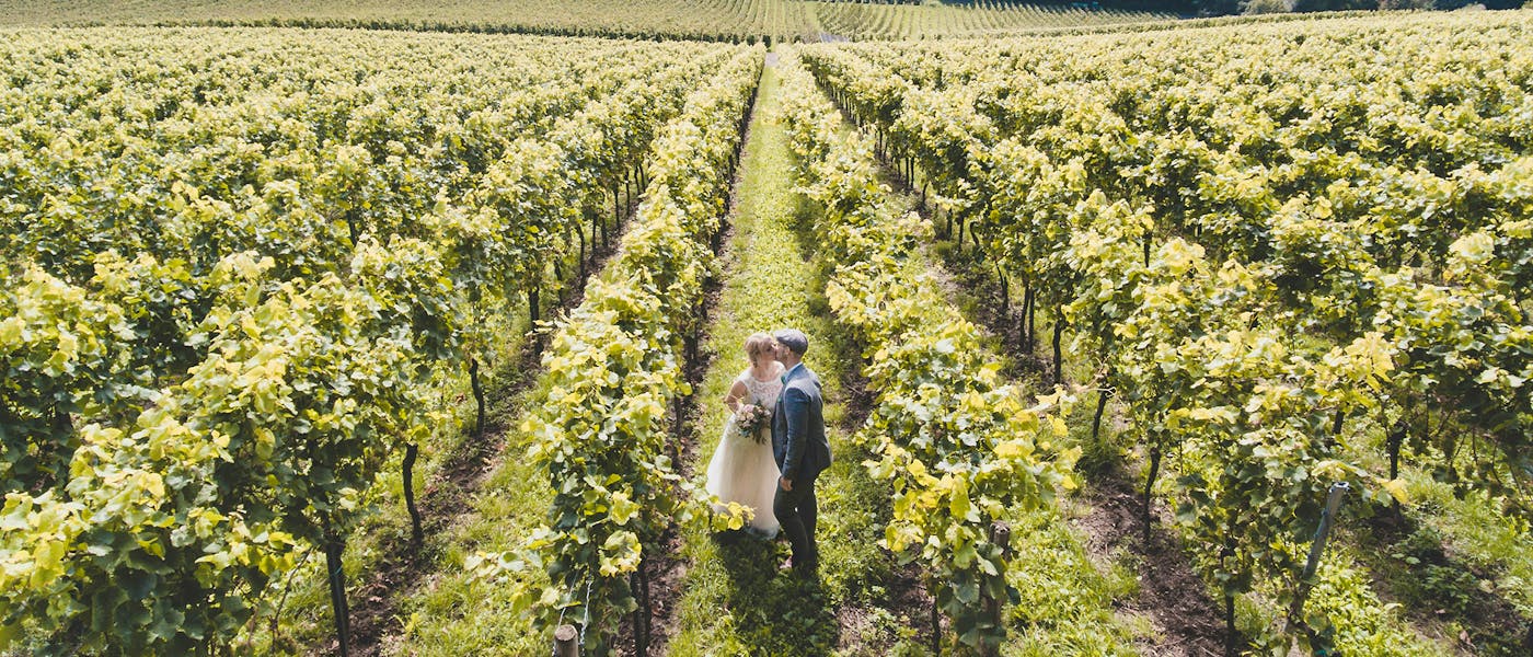 Green Wedding Marc-a-sporys-xTUzI5_osp0-unsplash Copy