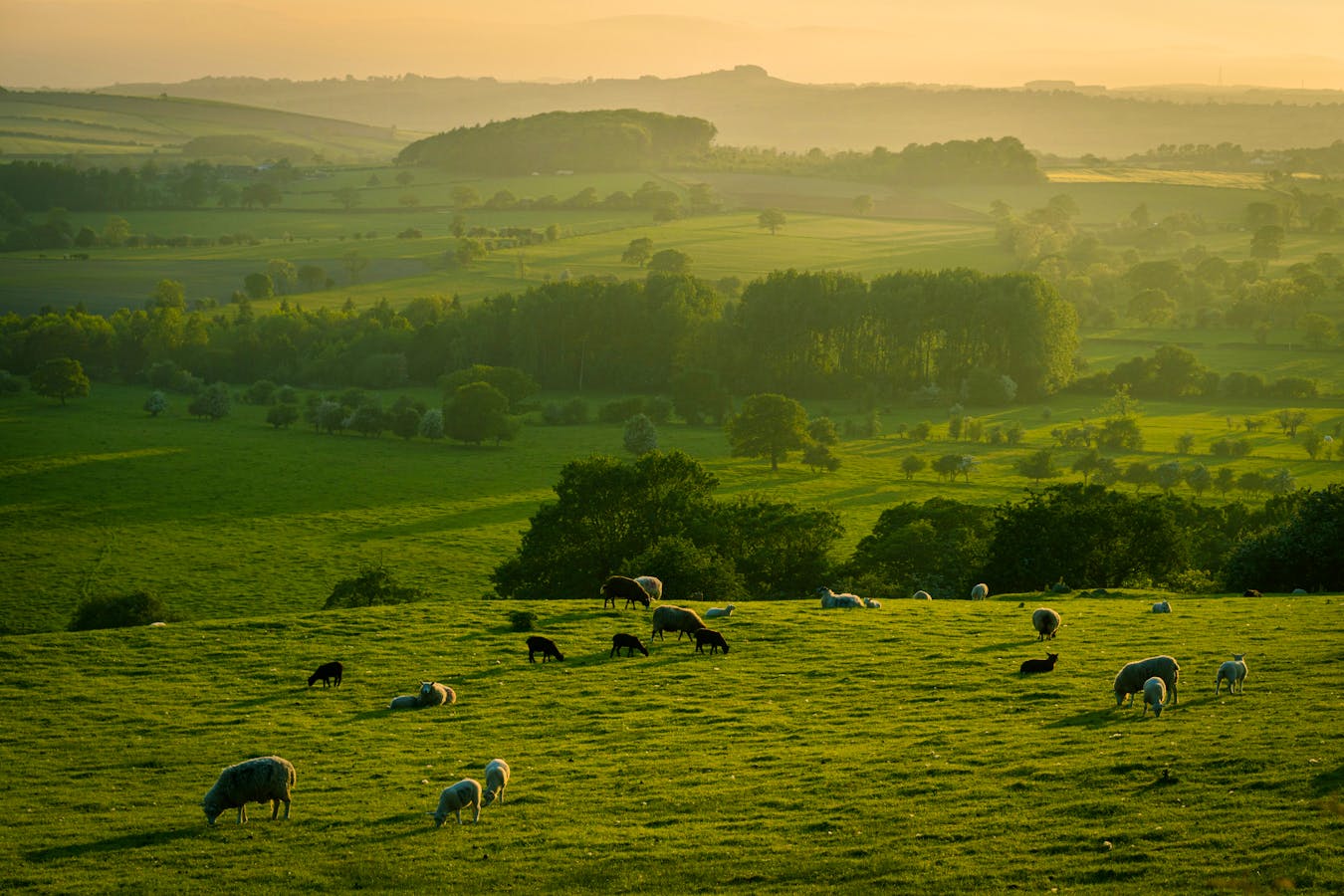 5 Farm Stays Worth Escaping To This Weekend