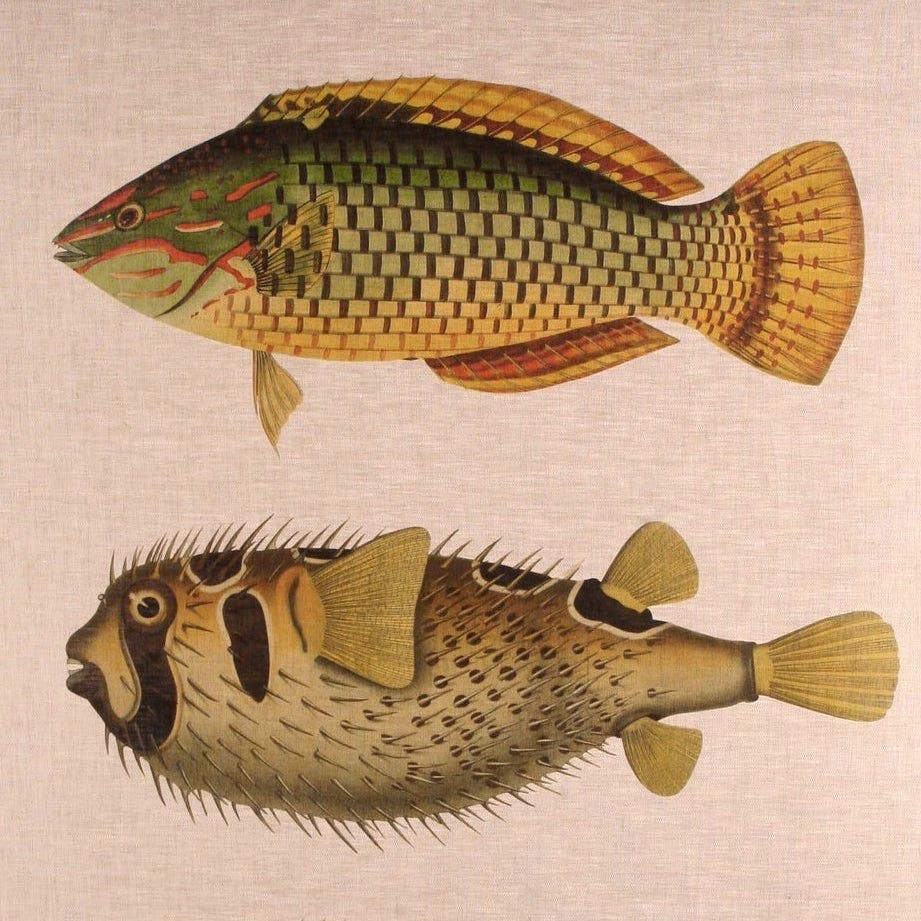 Hadeda Three Fish Wall Hanging, £95