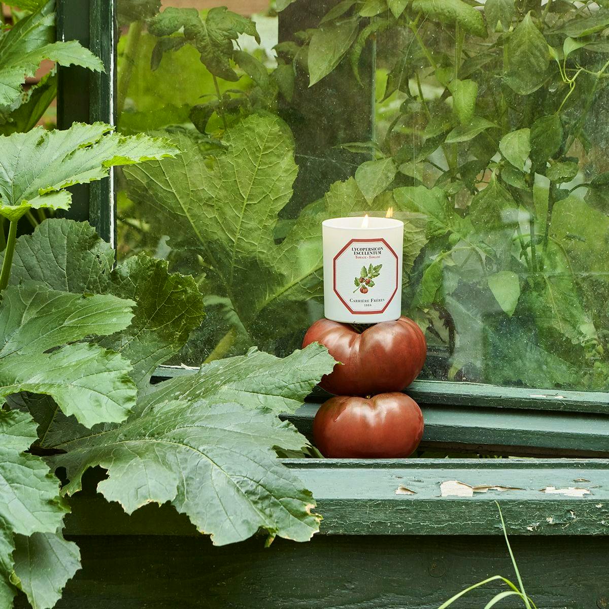Carriere Frères Tomato Vine Candle, £54