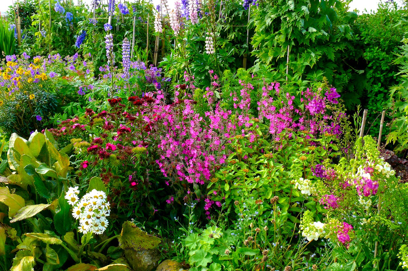 Bigstock-Cottage-Garden-1834811