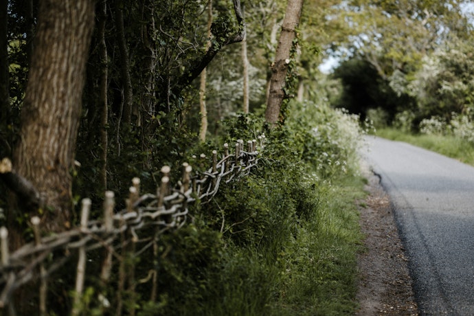 Hedgerow Harvest - Recipes For Foragers