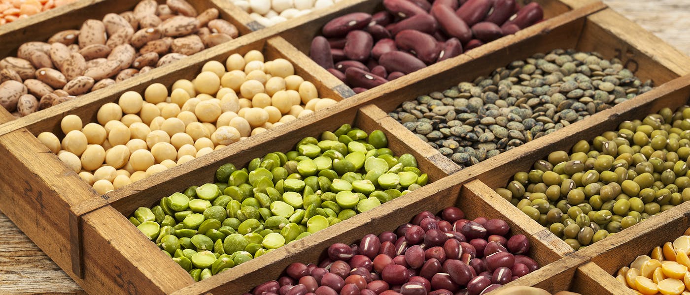 15 Bean-Powered Recipes