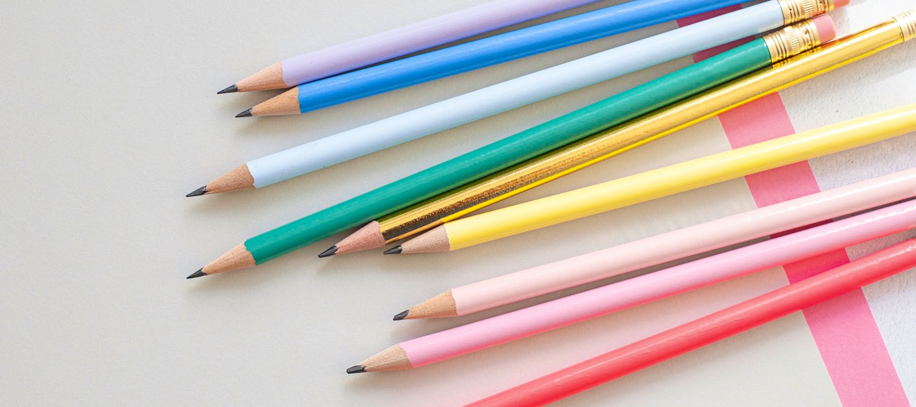 Copper-and-wild-yf61jhXNmYo-unsplash