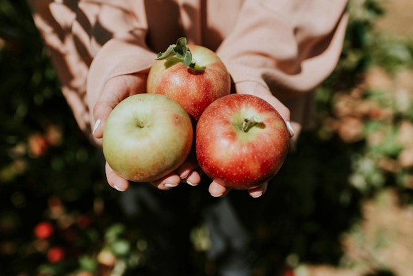 APPLE PICKING