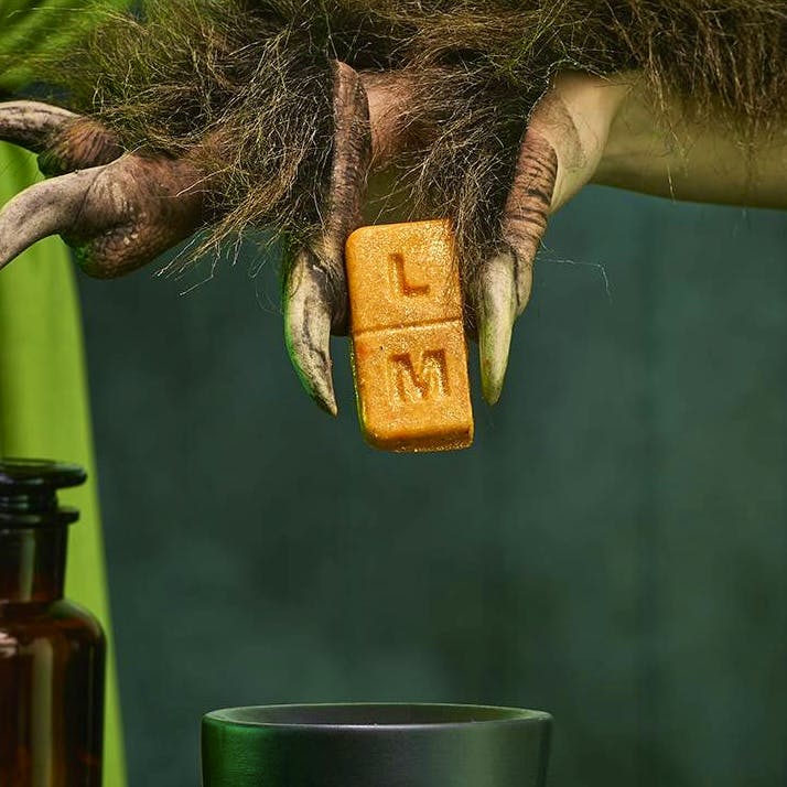 Lush Pumpkin Spice Lush Melt, £7