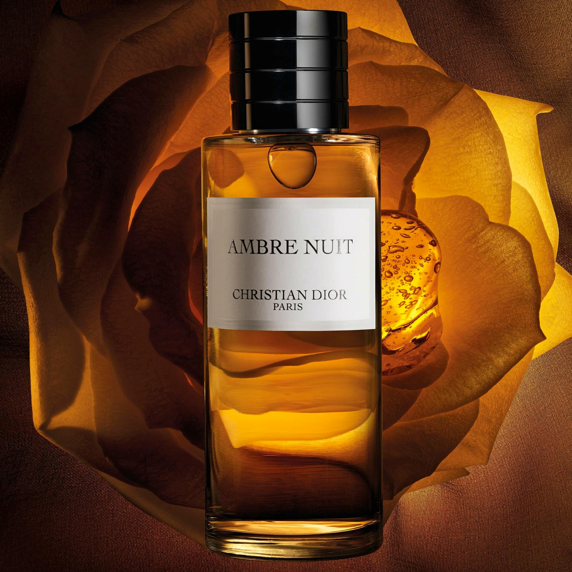 Dior Amber Nuit, £255