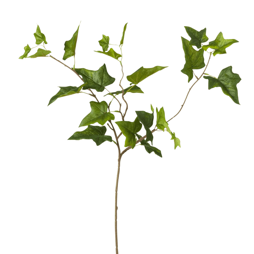 Faux Ivy Stem £15