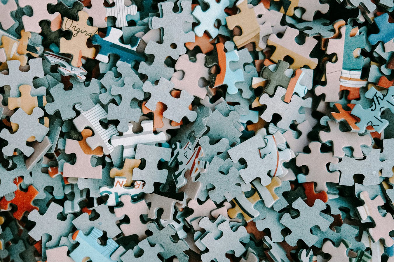 Jigsaw Puzzles Annie-spratt-fRJBYwwJ_5I-unsplash Copy