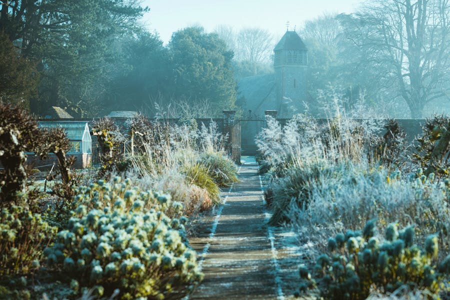 How To Maintain A Winter Garden