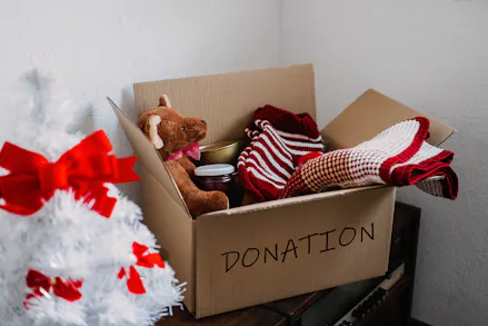 Goodwill To All Mankind: 7 Worthy Charities to Support This Christmas
