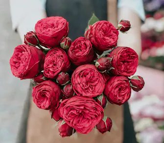 Best Sites For Ordering Flowers Online For All Budgets