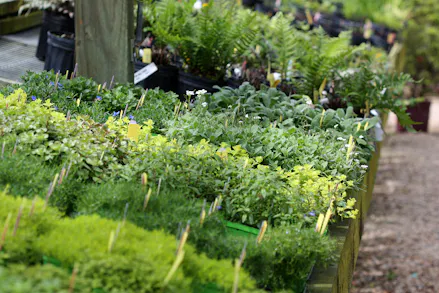 The Chicest Gardeners Shop At These London Garden Centres