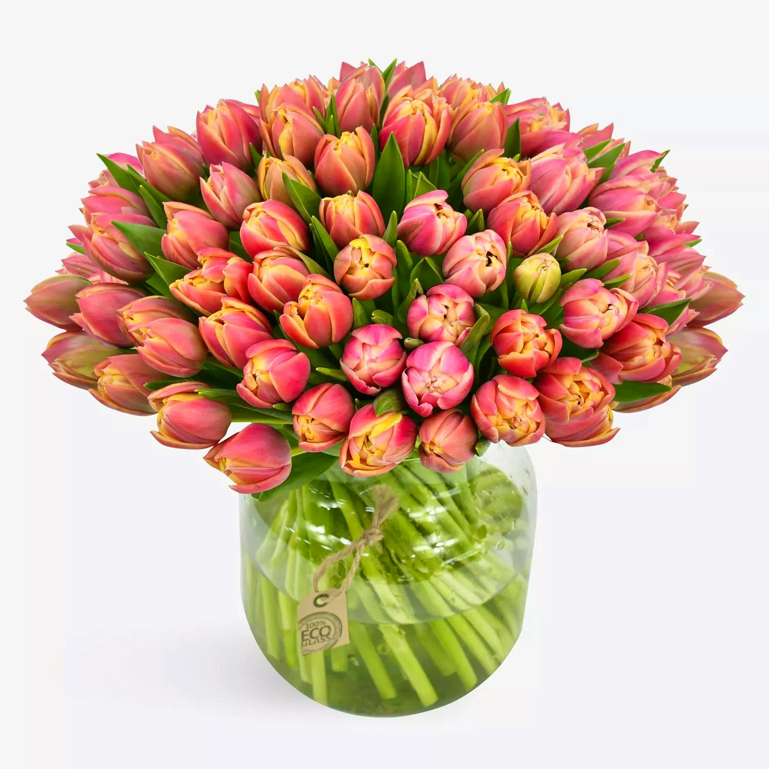 Flowers & Plants Co. Pink Tulips Fresh Flower Bouquet, £51.99