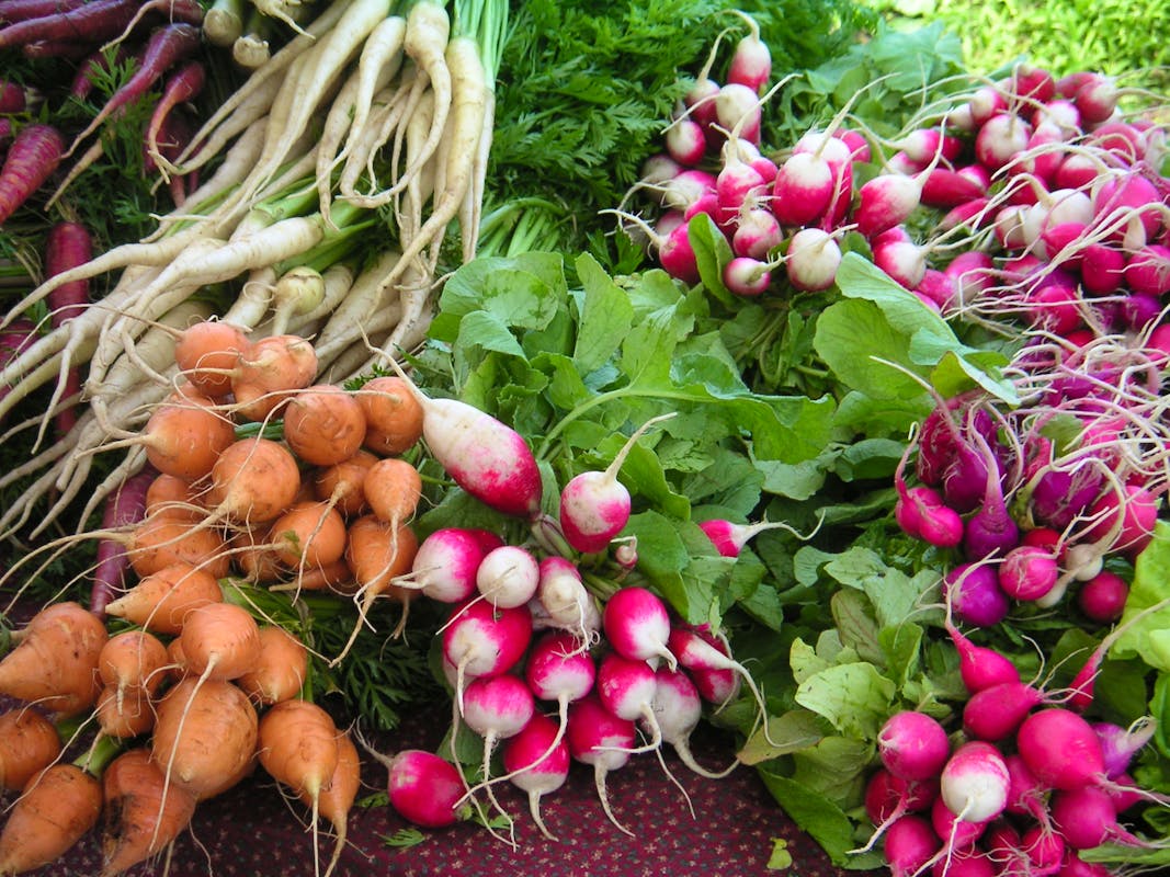 Eat The Seasons: What To Cook In March - Radishes