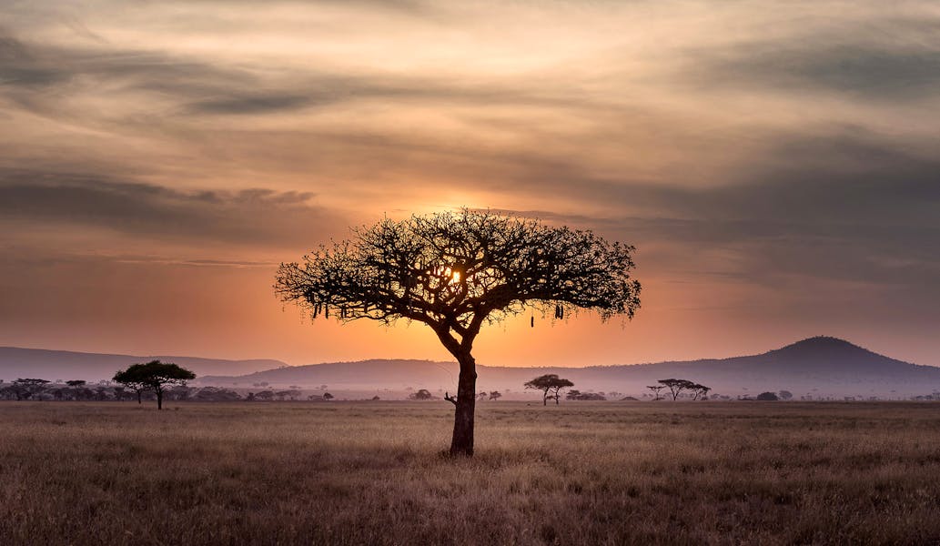 When To Visit Tanzania Guide To A Memorable Holiday Hu-chen-60XLoOgwkfA-unsplash