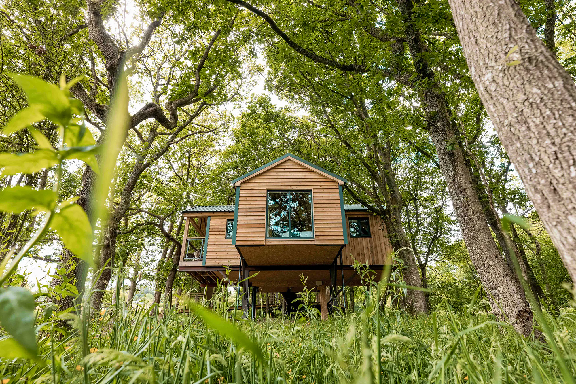 Unique Hideaways Giveaway Ty Coedwig Treehouse 2025
