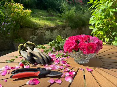 A Gardener Tells Us How To Create A Cutting Garden