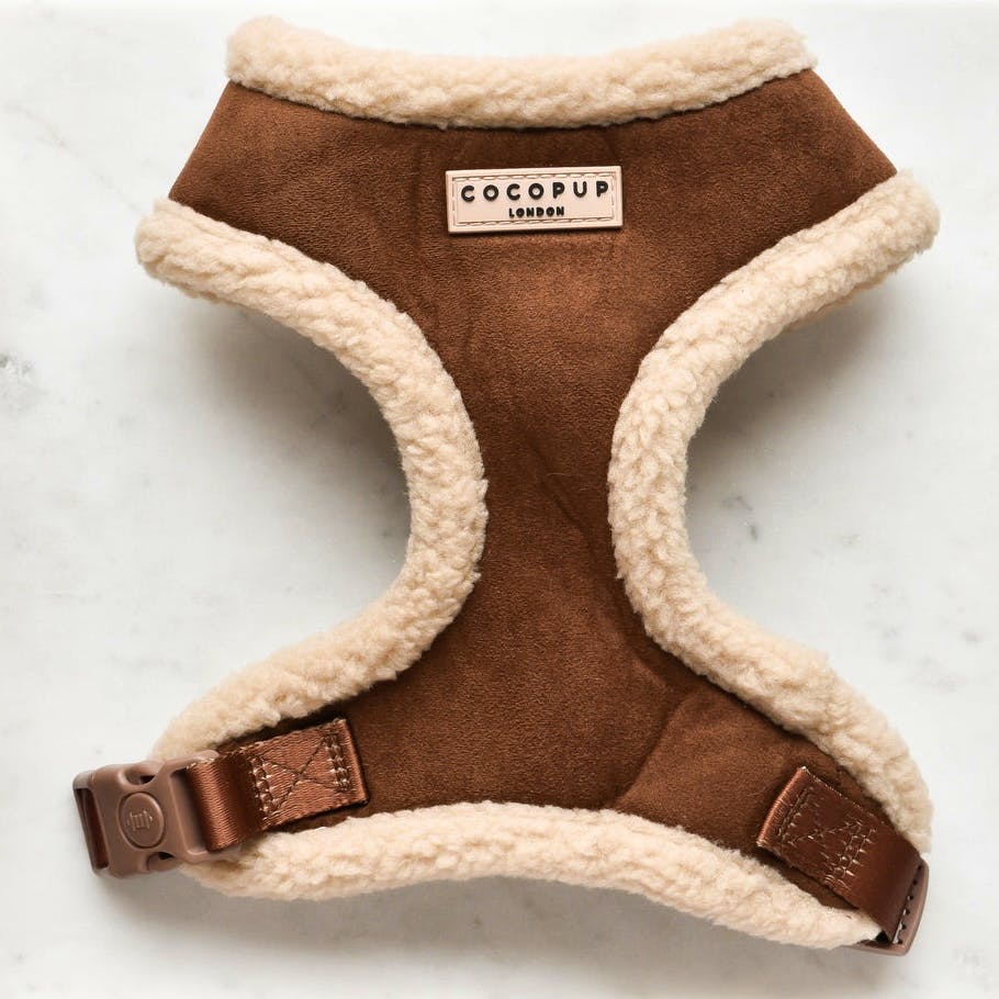 Cocopup London Brown Aviator Neck Harness, £30