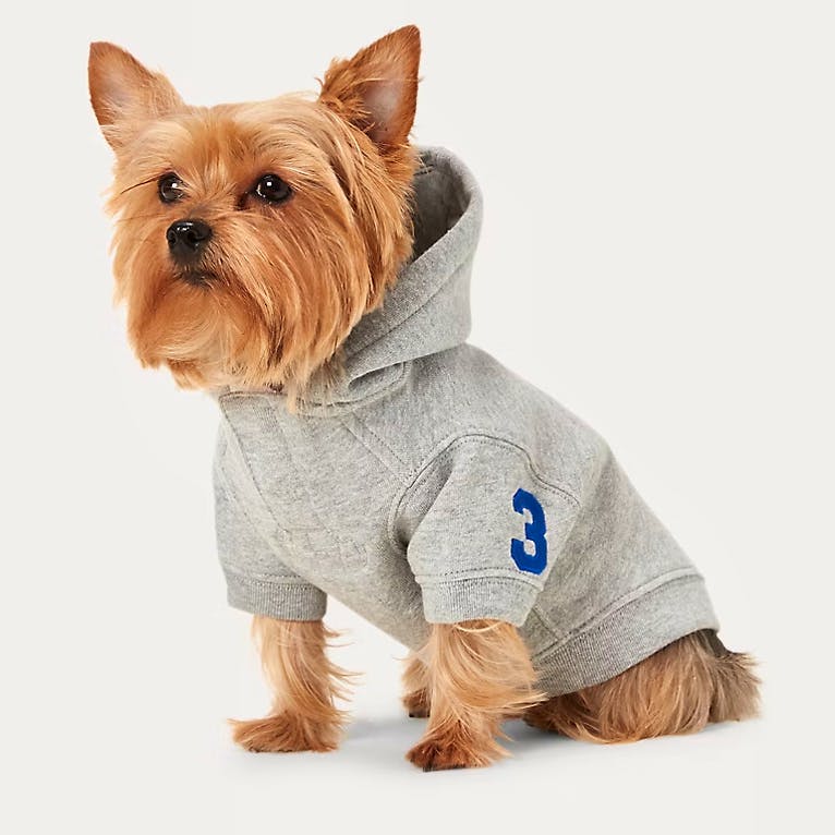 Ralph Lauren Big Pony Fleece Dog Hoodie, £85