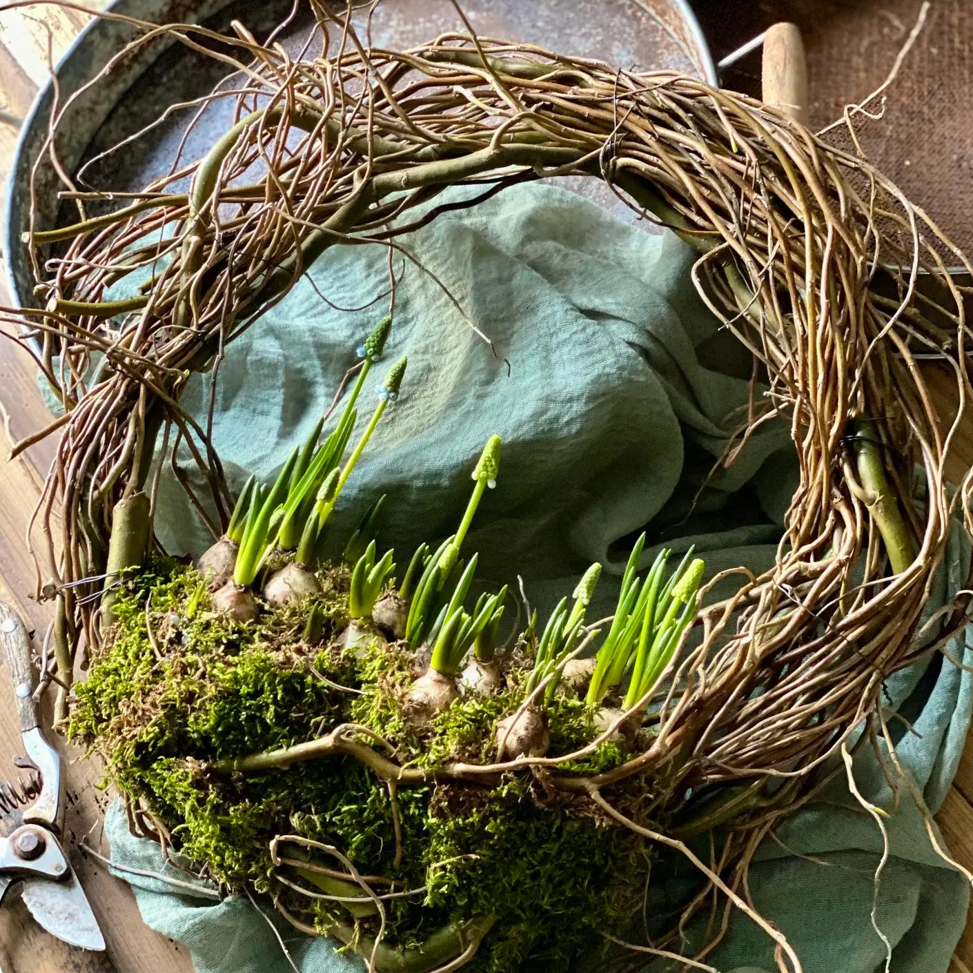 The Florist’s Daughter Spring Willow Door Wreath Muscari Bulb Planter, £42.50