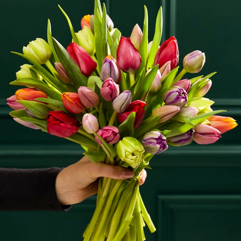 M&S Tulipmania Bouquet, £40