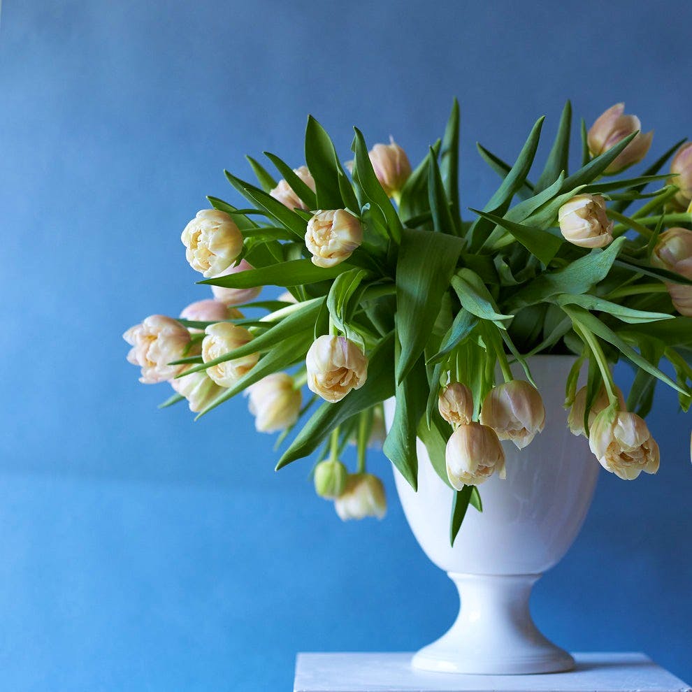 Pentreath & Hall P&H Large Creamware Urn, £225