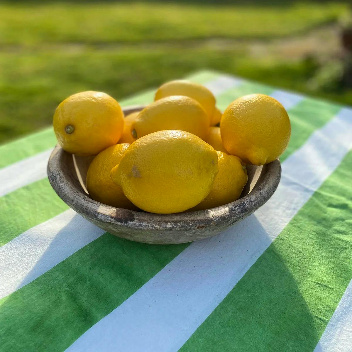 Twizzel Indian Block Print Tablecloth - Sage Stripe, £80