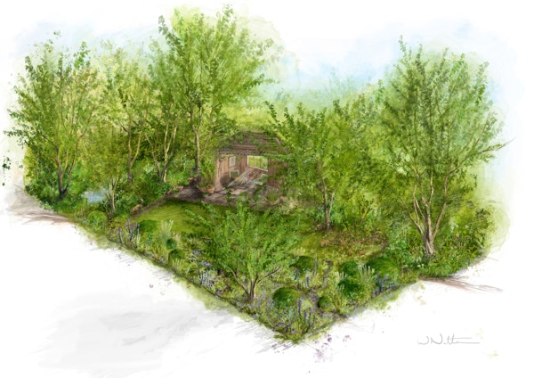 RHS And Radio 2 Dog Garden Designed By Monty Don