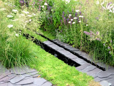 Chelsea Flower Show 2025: Monty Don’s ‘Shaggy Lawn’ Trend & Other Highlights