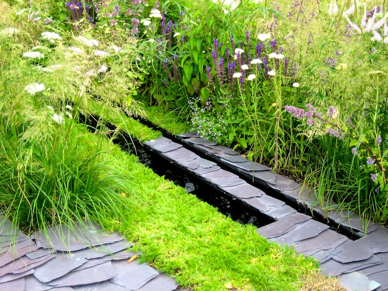 Guide To Chelsea Flower Show 2025