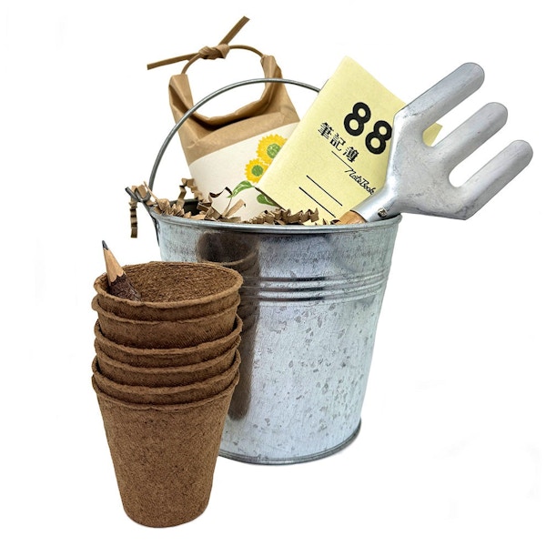 Kids Garden Toys Hedgehop Shop Mini_garden_bucket_sunflower_990